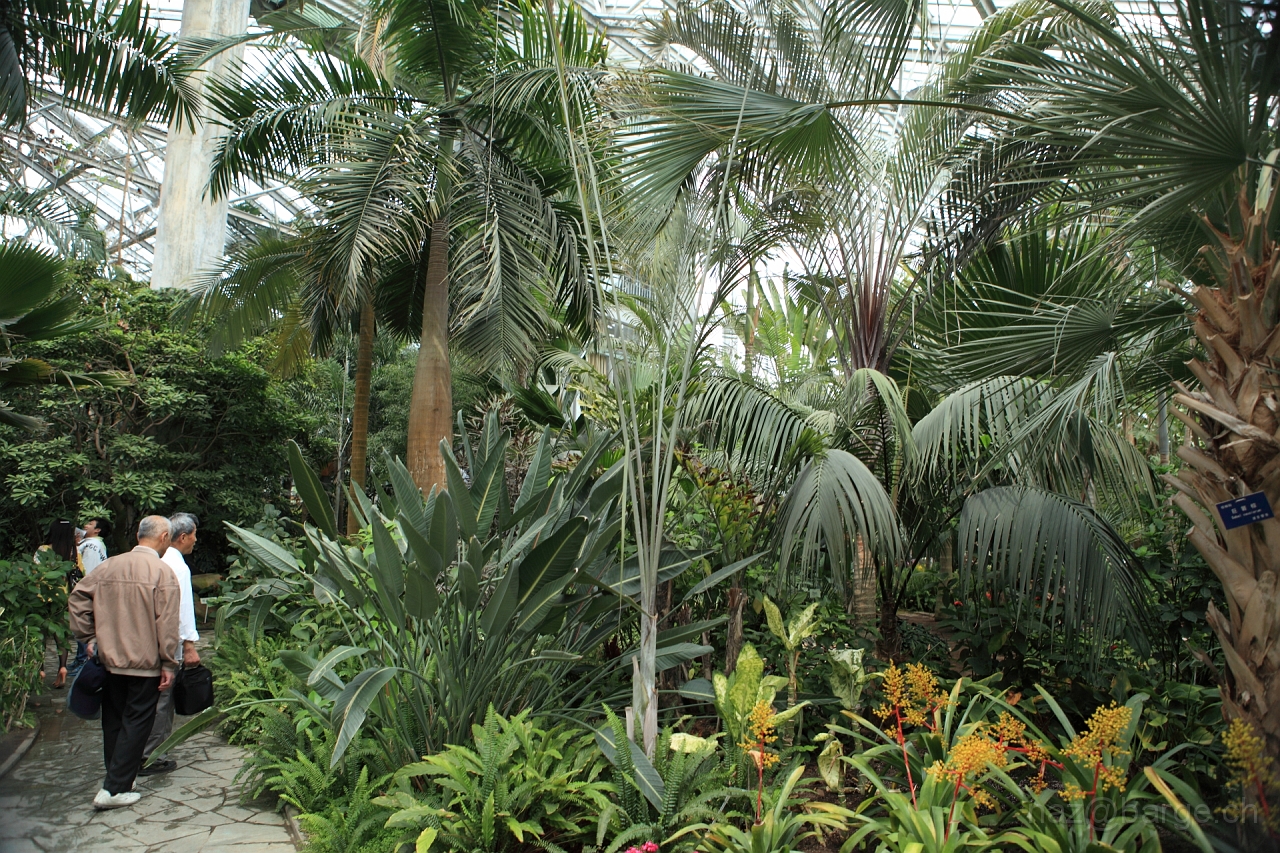 EOS 5D Mark II16_04_20134966.JPG